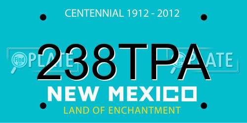 238TPA New Mexico License Plate