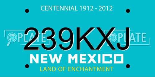 239KXJ New Mexico License Plate