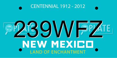 239WFZ New Mexico License Plate