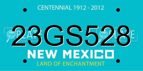 23GS528 New Mexico License Plate