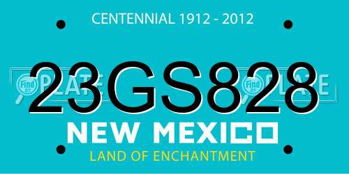 23GS828 New Mexico License Plate