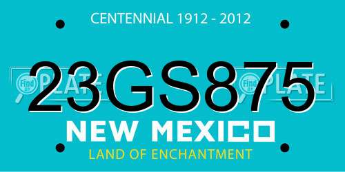 23GS875 New Mexico License Plate