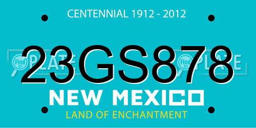23GS878 New Mexico License Plate