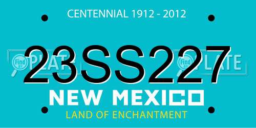 23SS227 New Mexico License Plate