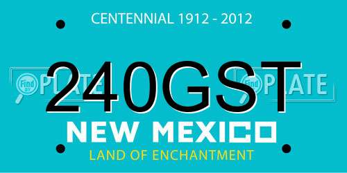 240GST New Mexico License Plate