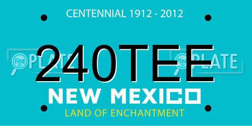 240TEE New Mexico License Plate