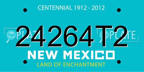 24264T2 New Mexico License Plate
