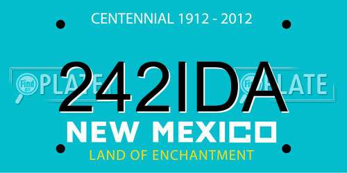 242IDA New Mexico License Plate