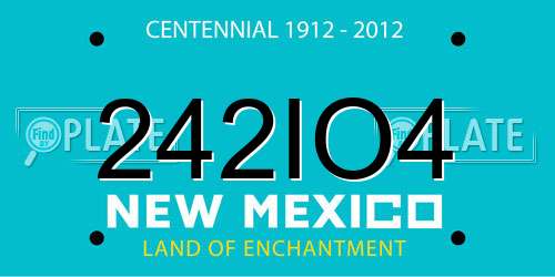 242IO4 New Mexico License Plate