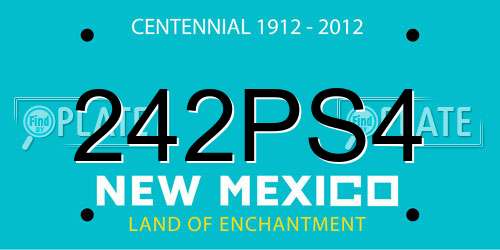 242PS4 New Mexico License Plate