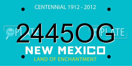 2445OG New Mexico License Plate