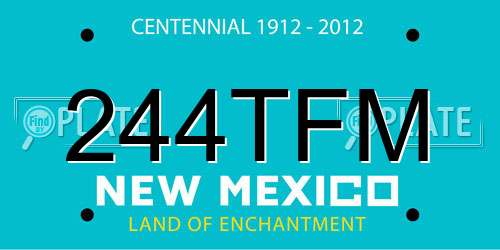 244TFM New Mexico License Plate