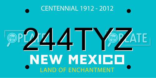 244TYZ New Mexico License Plate