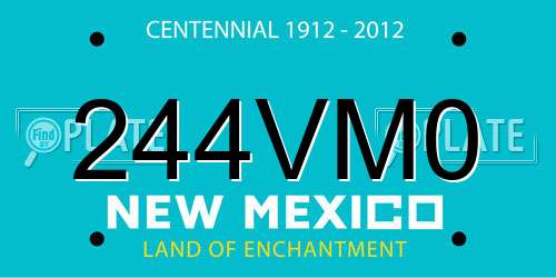244VM0 New Mexico License Plate
