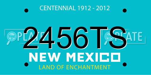 2456TS New Mexico License Plate