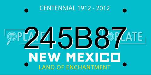 245B87 New Mexico License Plate