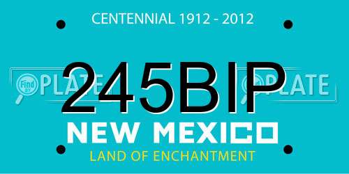 245BIP New Mexico License Plate