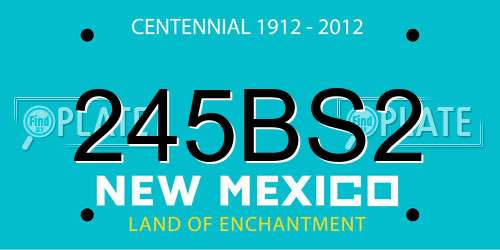 245BS2 New Mexico License Plate