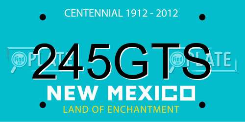 245GTS New Mexico License Plate