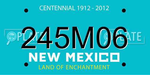 245M06 New Mexico License Plate