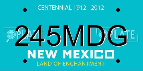 245MDG New Mexico License Plate