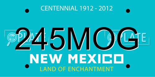 245MOG New Mexico License Plate