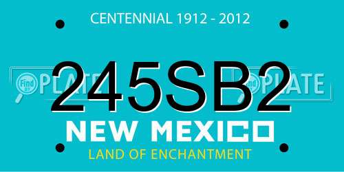 245SB2 New Mexico License Plate