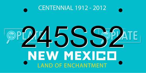 245SS2 New Mexico License Plate