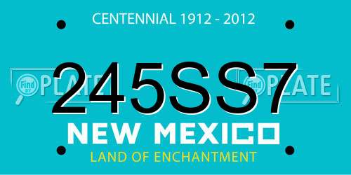 245SS7 New Mexico License Plate