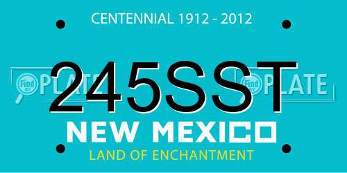245SST New Mexico License Plate
