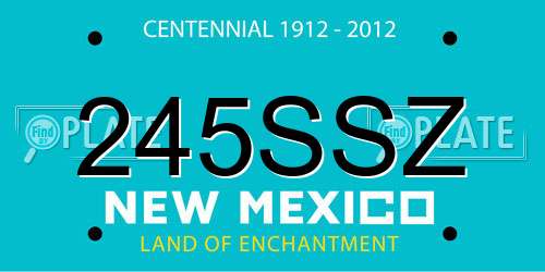 245SSZ New Mexico License Plate