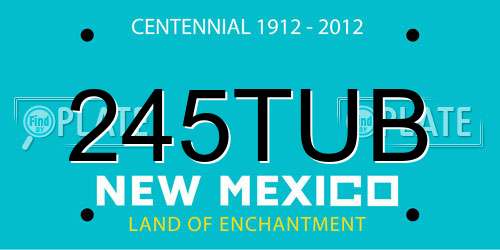 245TUB New Mexico License Plate