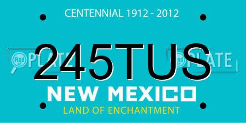 245TUS New Mexico License Plate