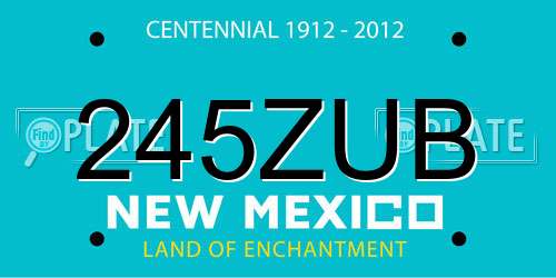 245ZUB New Mexico License Plate