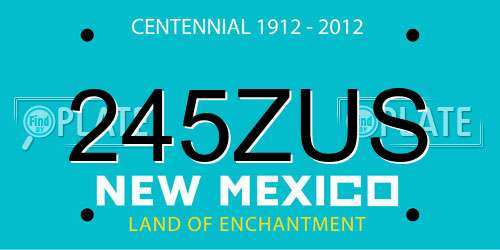 245ZUS New Mexico License Plate