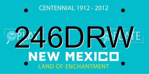 246DRW New Mexico License Plate