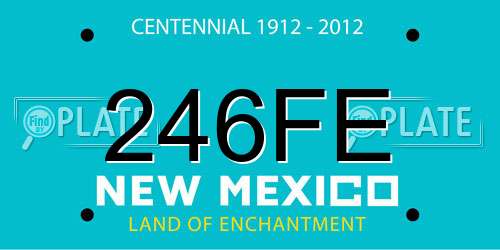 246FE New Mexico License Plate