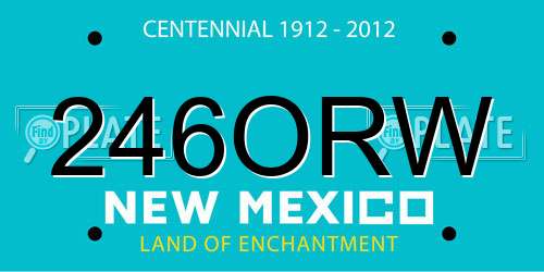 246ORW New Mexico License Plate