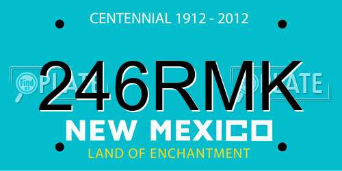 246RMK New Mexico License Plate