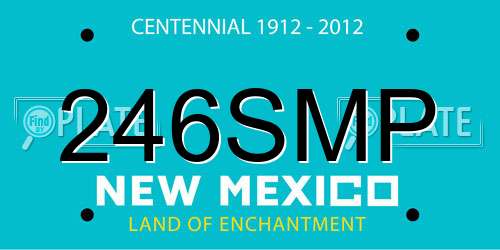 246SMP New Mexico License Plate