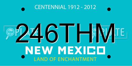 246THM New Mexico License Plate