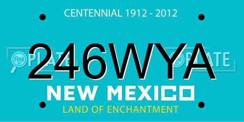 246WYA New Mexico License Plate