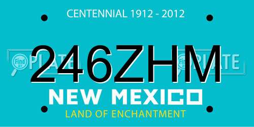 246ZHM New Mexico License Plate