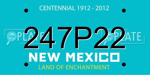 247P22 New Mexico License Plate