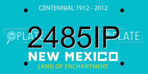 2485IP New Mexico License Plate