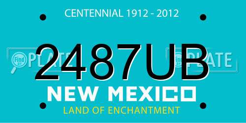 2487UB New Mexico License Plate