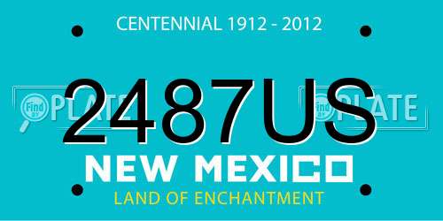 2487US New Mexico License Plate
