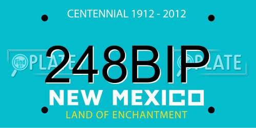 248BIP New Mexico License Plate