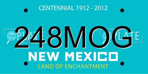 248MOG New Mexico License Plate