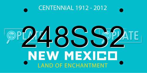 248SS2 New Mexico License Plate